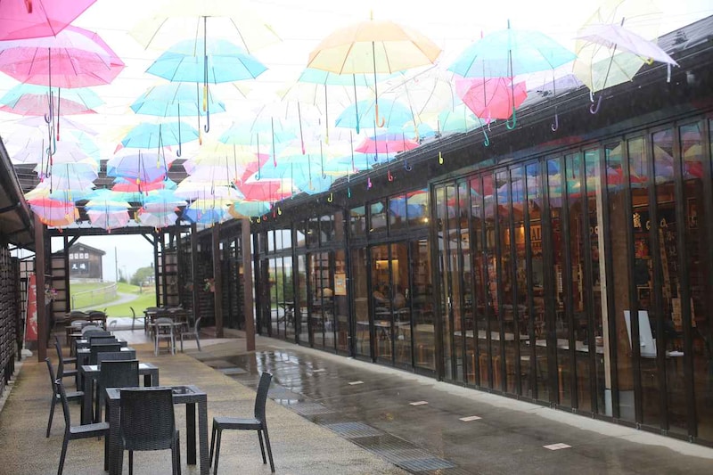 画像: オススメ立ち寄りスポットを紹介! 氷見漁港場外市場「ひみ番屋街」