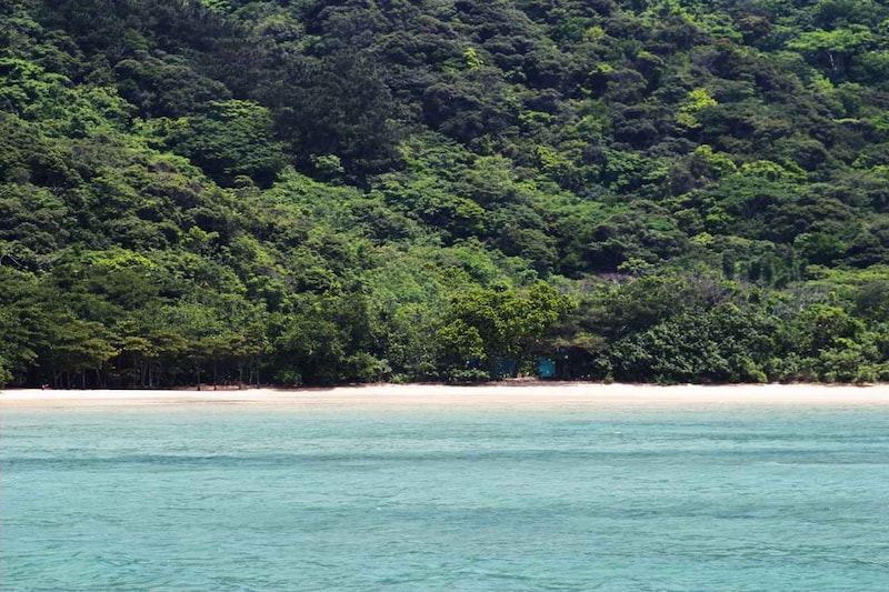 画像: 湾の奥に見えてきたウダラ浜の奥は手付かずのジャングル。