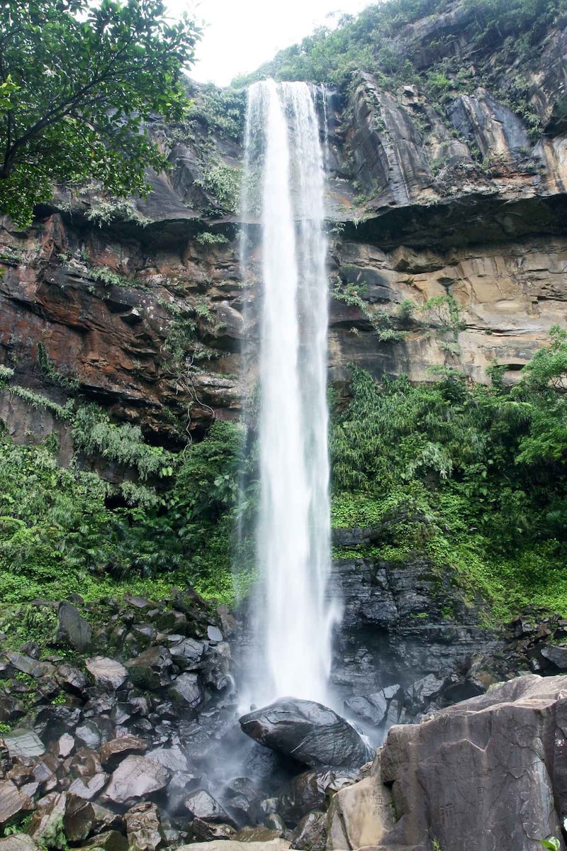 画像: 滝壺で遊泳する観光客も多いそうだ。ここなら森林浴の効果も期待できる。