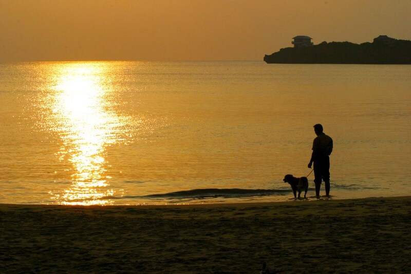 画像: 夕陽の海を眺めながら愛犬と散歩する光景は平和そのものだった。