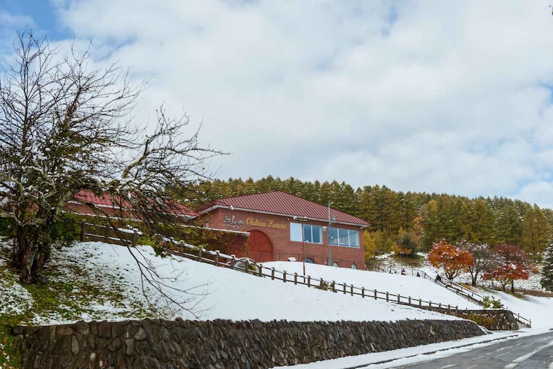 画像2: 冬の富良野 ワインとりっぷ～ワイン編～