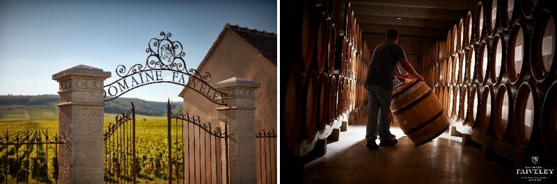 画像2: ７代目エルワン・フェヴレ氏の先進的ビジョン