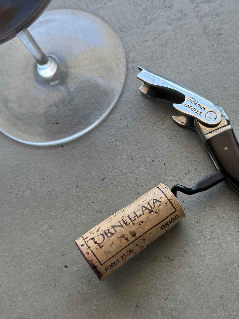 画像1: 生命力あふれる2023年ヴィンテージを試飲