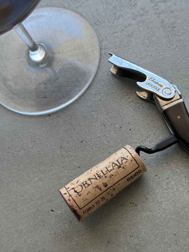 画像1: 生命力あふれる2023年ヴィンテージを試飲