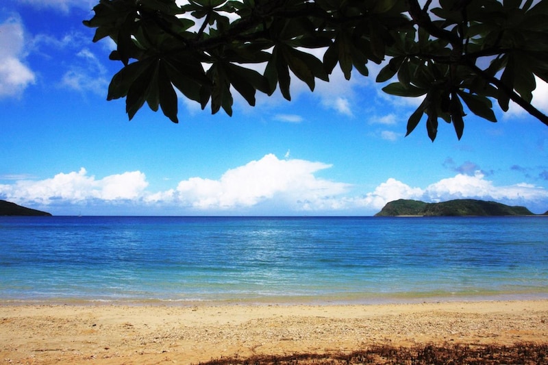 画像: 「旅の記憶は泡のよう」【第二回 西表島】 Memories of the trip sparkle like beer bubbles. - ワイン王国