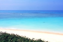 「旅の記憶は泡のよう」【第四回 波照間島】Memories of the trip sparkle like beer bubbles.