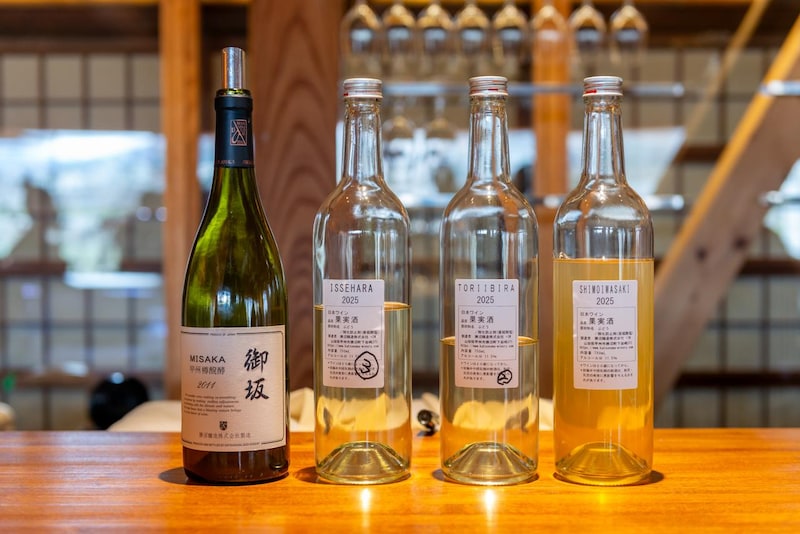 画像: 試飲ワイン『御坂甲州 樽醗酵2011年』『伊勢原2025年』『鳥居平2025年』『下岩崎2025年』（左から）