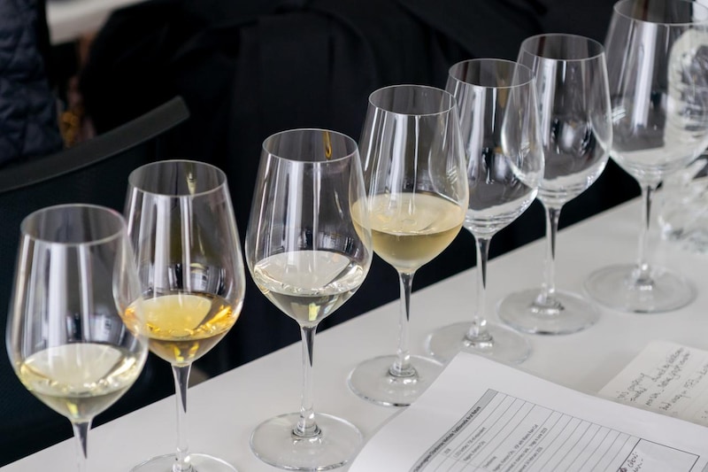 画像: 試飲ワイン『ソラリス 古酒甲州2013年』『ソラリス 古酒甲州2007年』『ソラリス 山梨甲州2024年』『ソラリス 千曲川シャルドネ 2024年』『ソラリス 小諸シャルドネ ヴィエイユ・ヴィーニュ2024年』『ソラリス 千曲川シャルドネ メトッド・トラディッショネル ブリュット・ナチュール 2018年』『ソラリス 小諸 メルロー2021年』