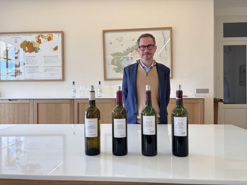 画像2: 第二特集 「Bordeaux Primeur Report 2025」