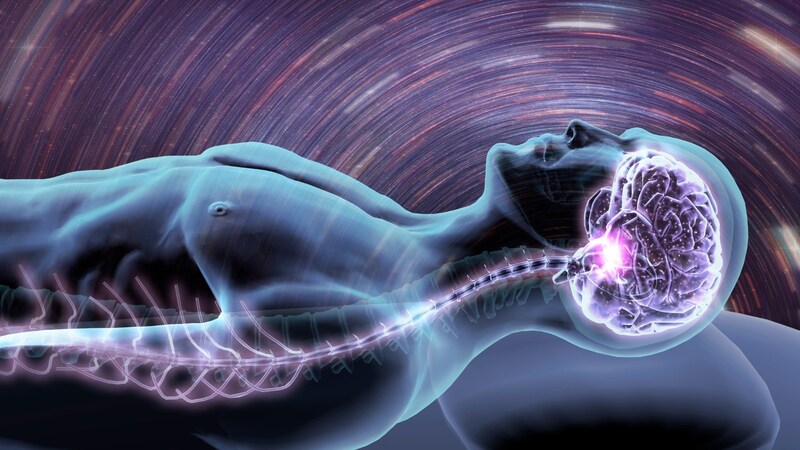 あなたの睡眠はどのタイプ？ 脳に刻まれた眠り方のクセ