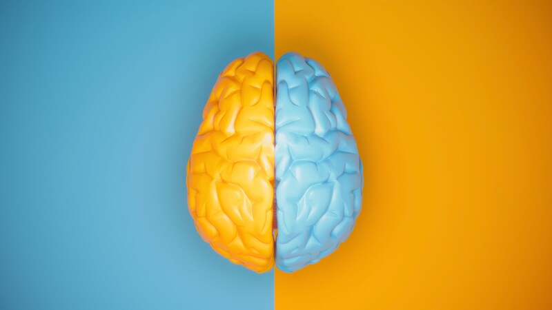 極右と極左の脳は驚くほど似た反応をすると判明！