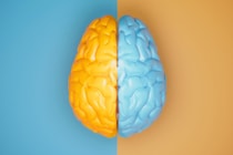 極右と極左の脳は驚くほど似た反応をすると判明！