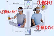 人間アバター実験成功――脳の命令で「他人の手」を動かし物の手触りを感じる
