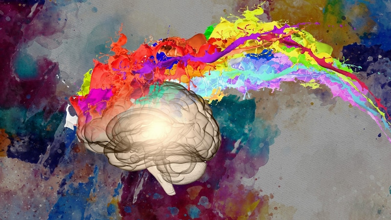 創造性にとって「集中が良く散漫が悪い」とは限らない