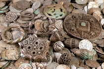 ミミズを掘っていた男性が２万枚の中世の銀貨を発見