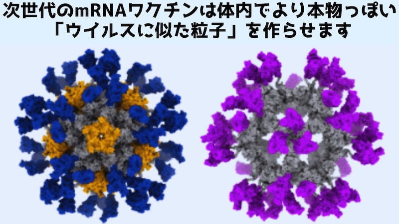 次世代のmRNAワクチンは体内で「ウイルスに似た粒子」を作らせる