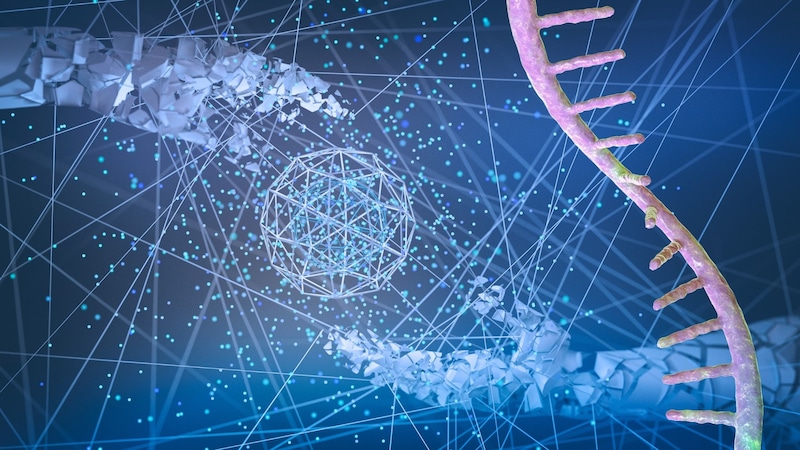 自己組立「人工ウイルス粒子」の製造— 細胞が自ら免疫を刺激