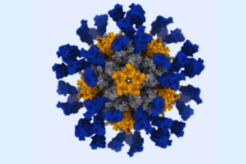 次世代のmRNAワクチンは体内で「ウイルスに似た粒子」を作らせる