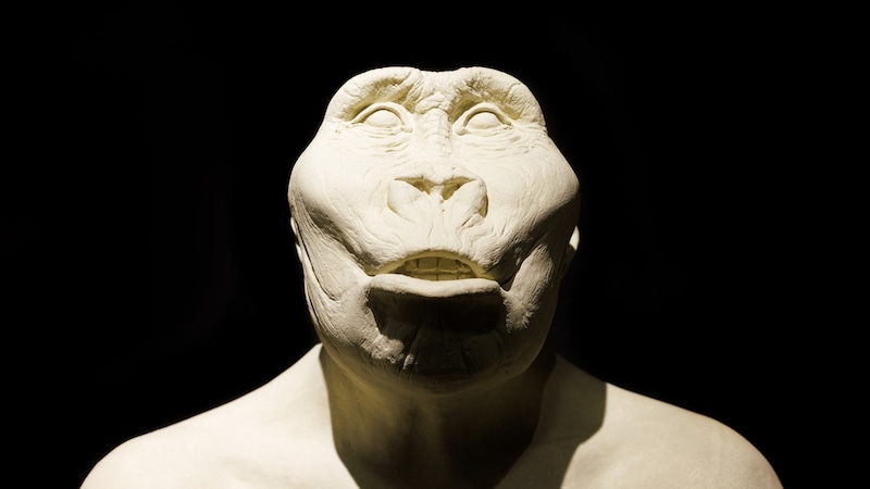 その非ヒト属は「ゴリラの握力」と「人間の器用さ」の両方を持っていた