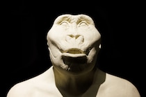 その非ヒト属は「ゴリラの握力」と「人間の器用さ」の両方を持っていた