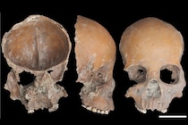 祖先の人骨を「コップ」に加工、5000年前の証拠を発見