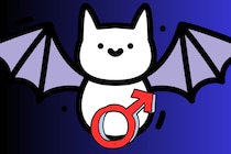 実はコウモリはペニスが大きすぎて交尾で挿入できない