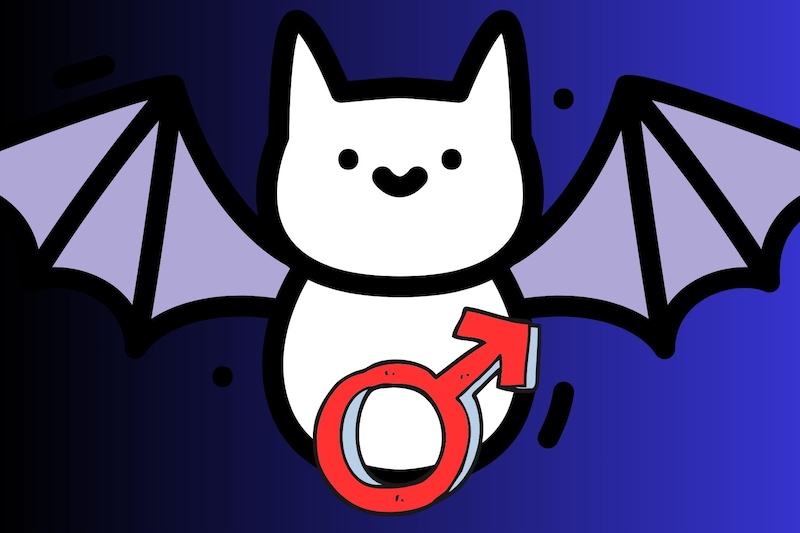 実はコウモリはペニスが大きすぎて交尾で挿入できない