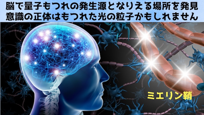 脳で「量子もつれ」の発生源となりえる場所を発見、意識の根源は光か？
