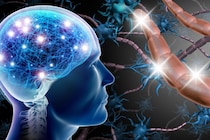 意識の根源は光か？脳で「量子もつれ」の発生源となりえる場所