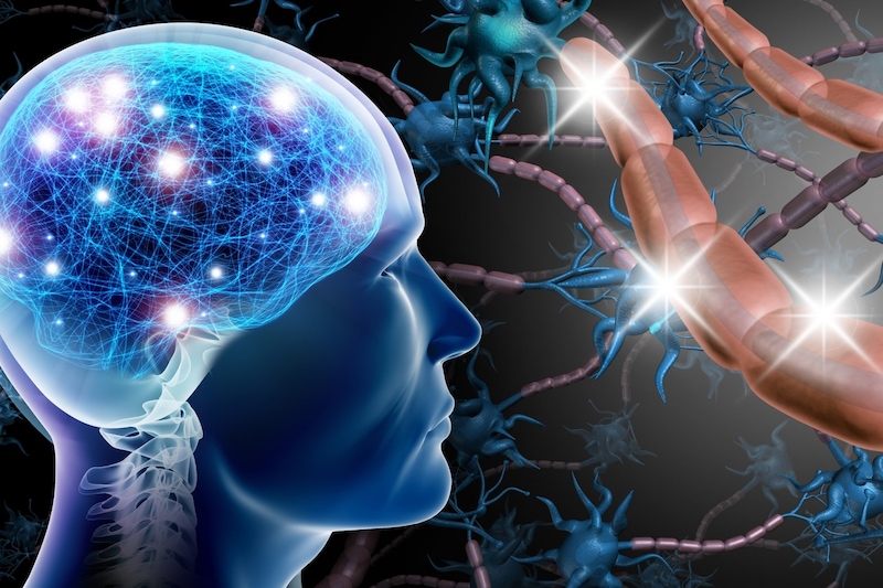 意識の根源は光か？脳で「量子もつれ」の発生源となりえる場所