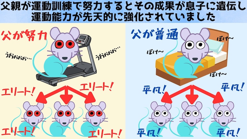努力の成果が遺伝する可能性が出てきた