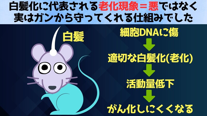 あなたの白髪、体が守っている証拠かも