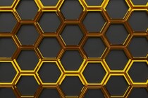 ミツバチは女王に「クーデター」を起こし、政権交代を繰り返していた