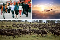 人間の”移動量”は陸上の「野生動物の40倍」だと判明