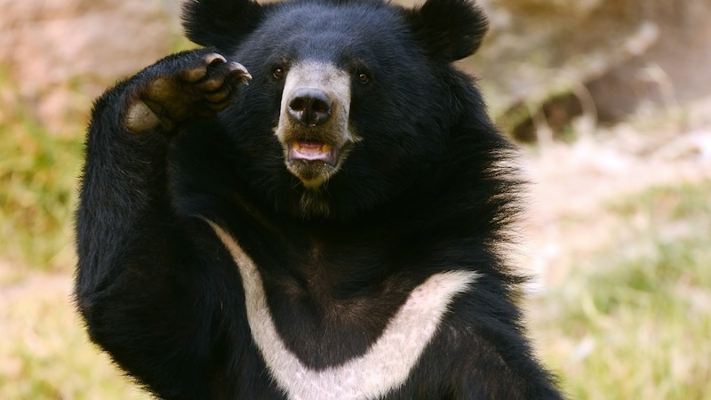 “たまたま助かった”を理論に変える挑戦