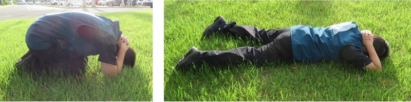 クマの一撃をかわす最終防衛、“うつ伏せシールド”の科学