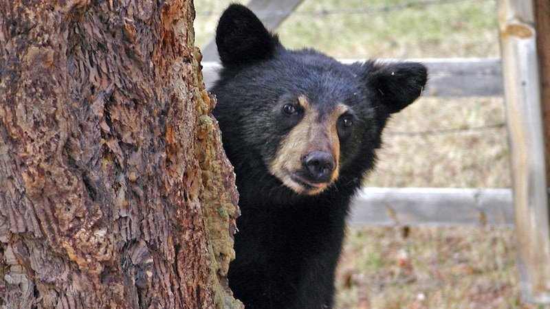 知っているだけで大怪我を防げる