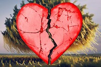 推しへの愛を維持できなくなるとき脳で何が起きているのか？