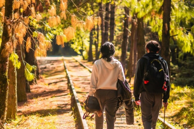 「自然とのつながりが強い国」最上位と最下位が判明、日本は何位？