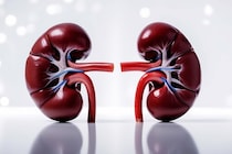 尿管結石を包んでまとめて除去してくれる「逆服薬ゼリー的手法」が誕生