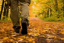 アルツハイマー病のリスクを低下させる「1日の歩数」が判明