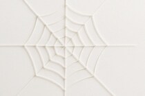 合計11万匹で作られた「世界最大級のクモの巣」発見