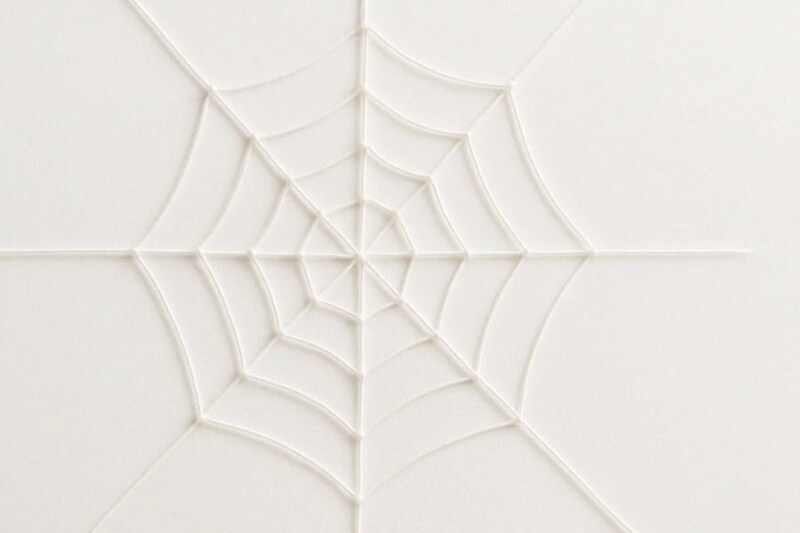 合計11万匹で作られた「世界最大級のクモの巣」発見