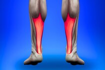 高齢者はアキレス腱が「柔らか過ぎて」バランスが悪くなっていた