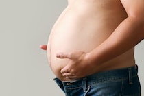 漢方薬「防風通聖散」が脂肪燃焼を再点火させる仕組みを解明