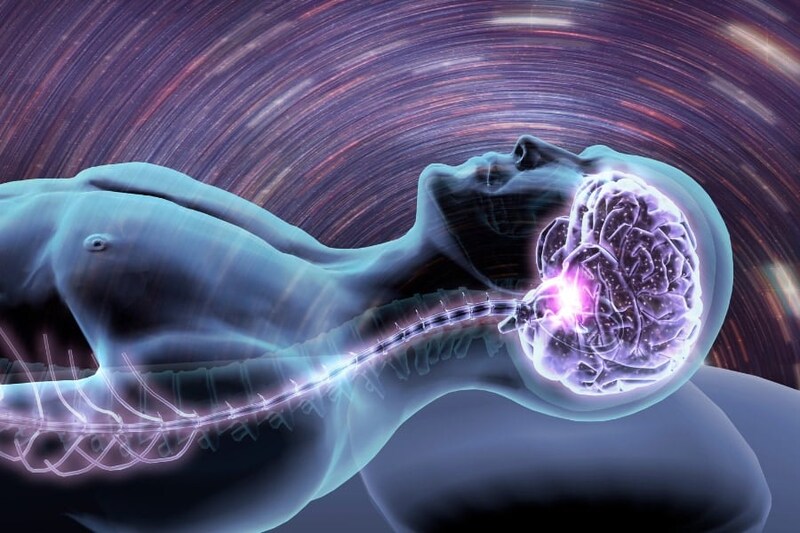 眠りは徐々に起こるのではない――脳が眠る瞬間を捉えることに成功