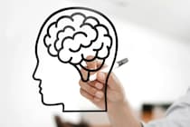 不安障害の人の脳では「ある栄養素」のレベルが低くなっていた