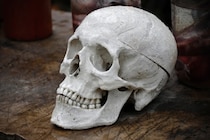 2300年前の「頭蓋に穴をあける手術器具」を発見、ポーランド