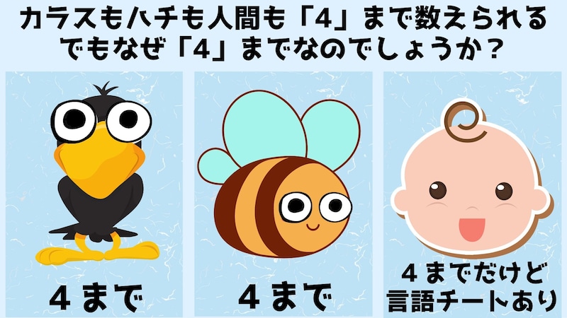 カラスも「4」ミツバチも「4」人間も「4」　なぜ「4」までなのか？