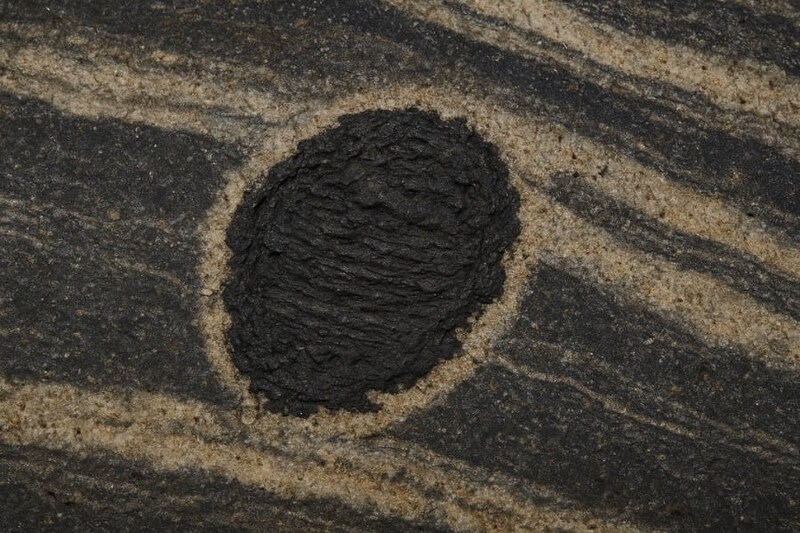 33億年前の岩石に史上最古の「生命の痕跡」を発見